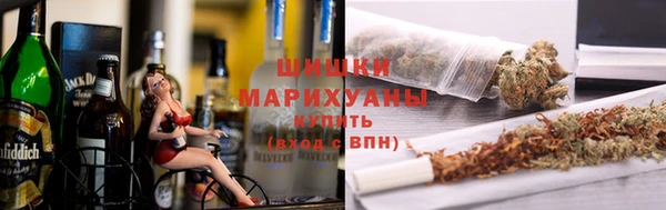 spice Инсар
