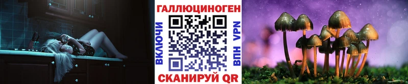 Псилоцибиновые грибы Cubensis  Кандалакша 