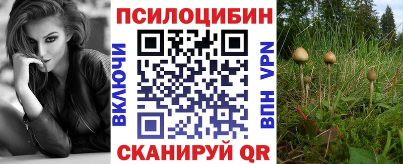 Галлюциногенные грибы MAGIC MUSHROOMS Кандалакша