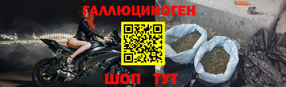 Кандалакша  Галлюциногенные грибы Psilocybe  Вход с VPN 